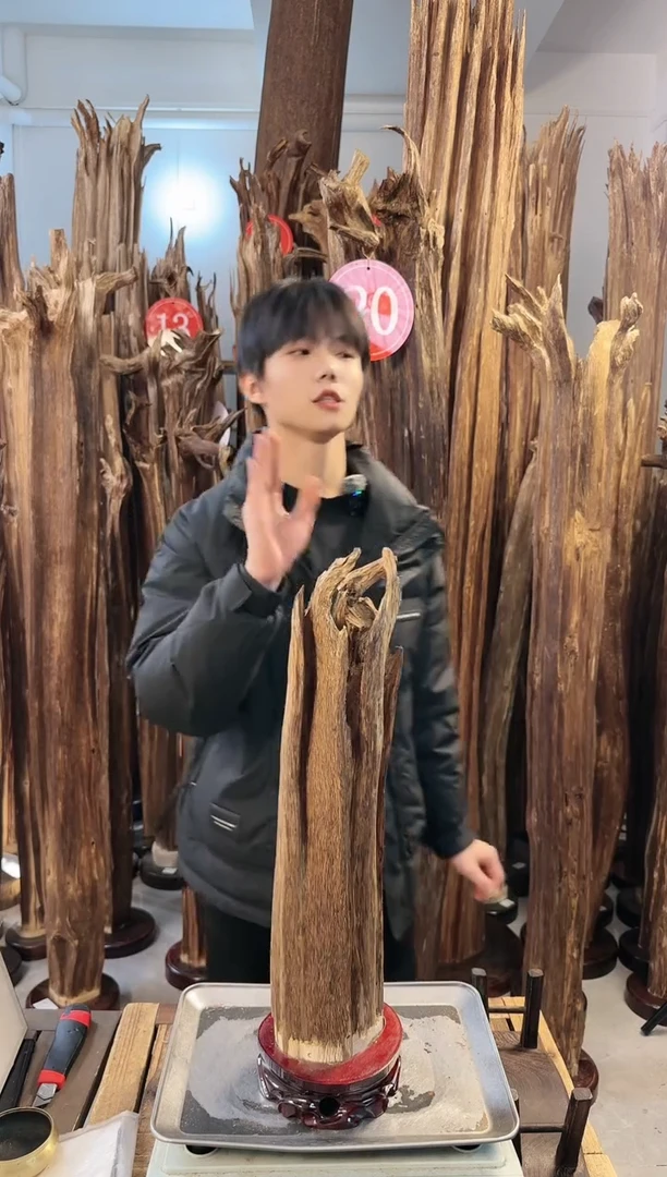 【闪购商品】沉香摆件沉香摆件多样性发一件87