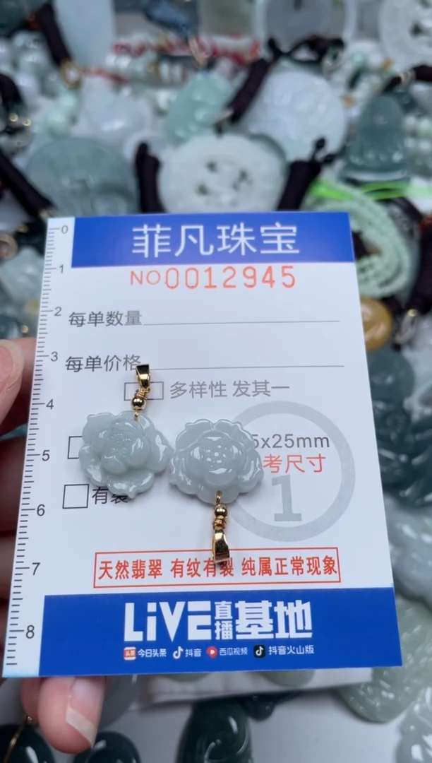 颈饰未镶嵌翡翠12945