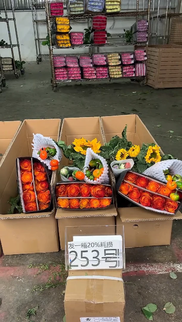253号♥中通含20%耗损发一箱