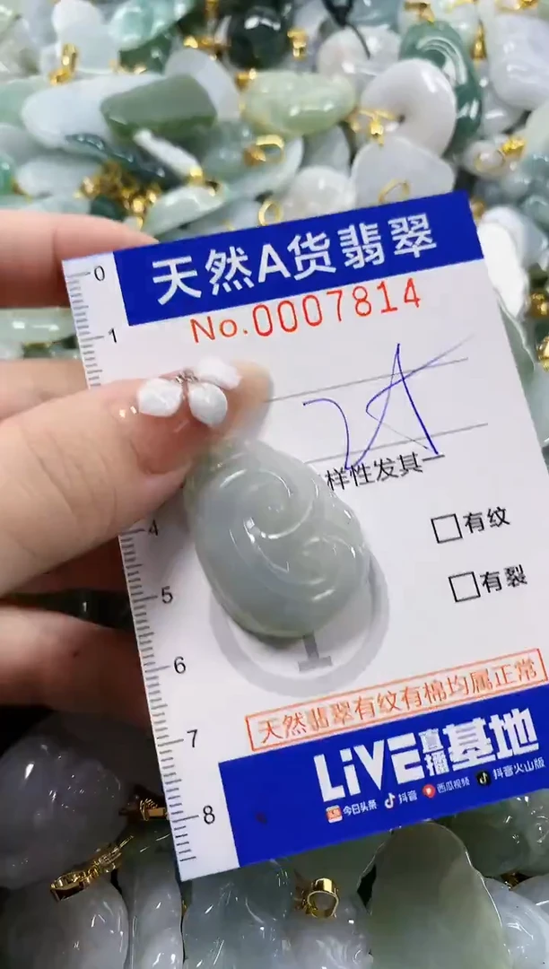 颈饰未镶嵌翡翠天然A货翡翠