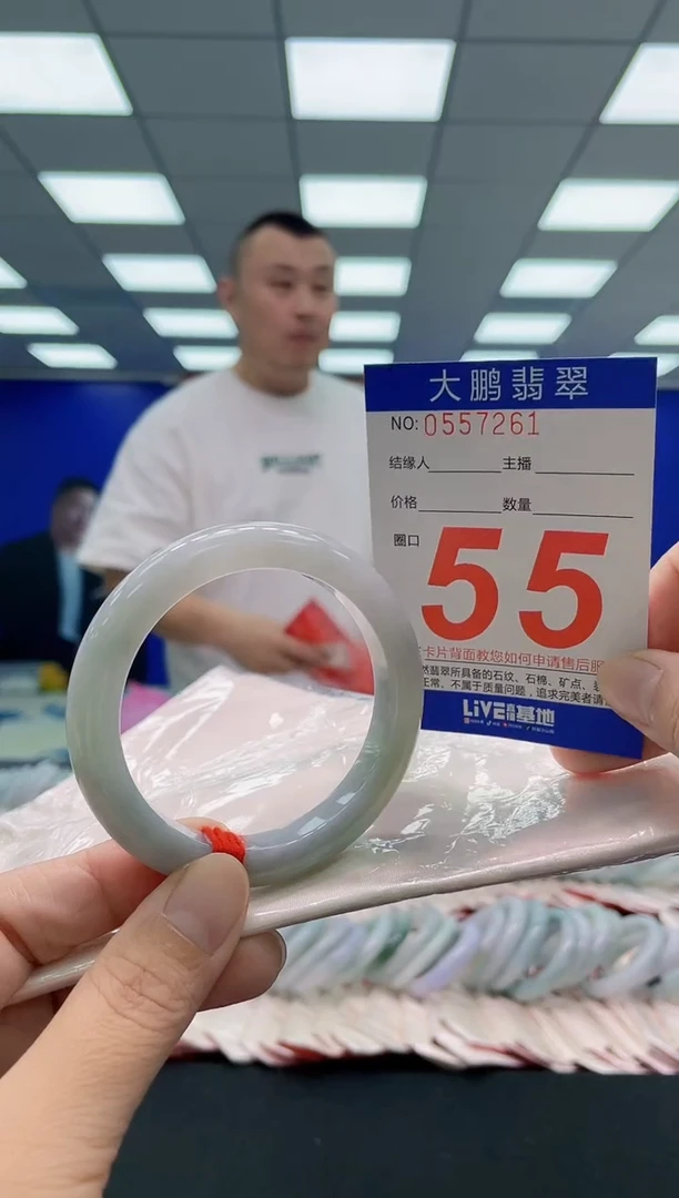 未镶嵌手镯翡翠AAAAAAAAA