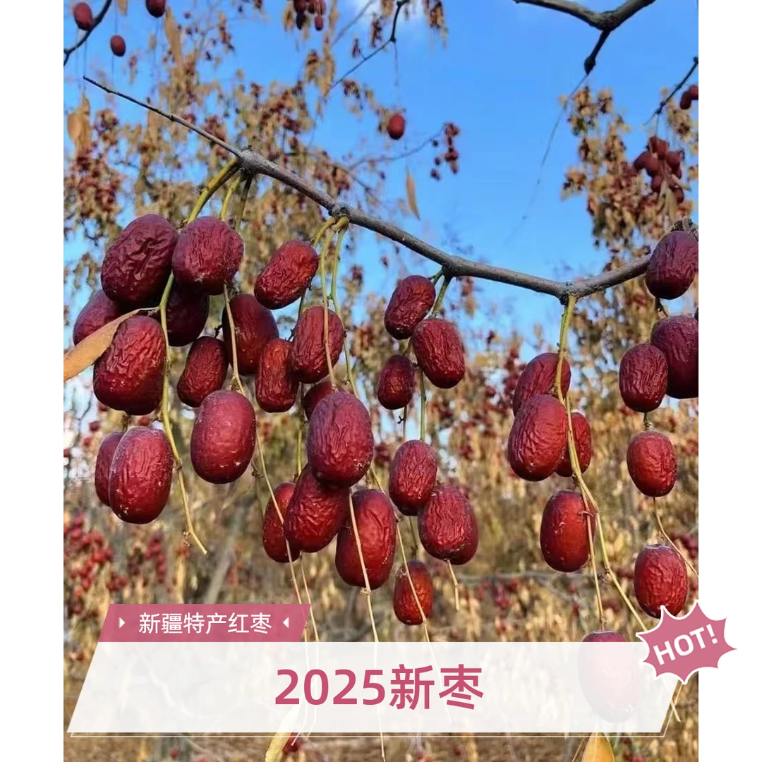 【特级红枣】新疆和田大枣红枣皮薄肉多煮粥煲汤营养美味大枣正宗