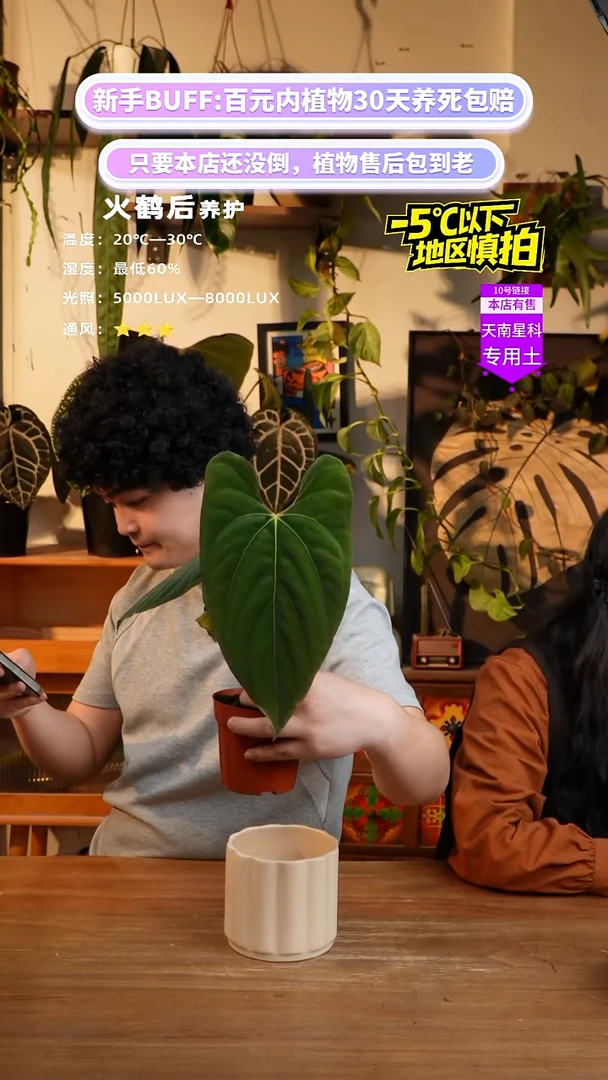 不开花植物Papi x 蝠鲼