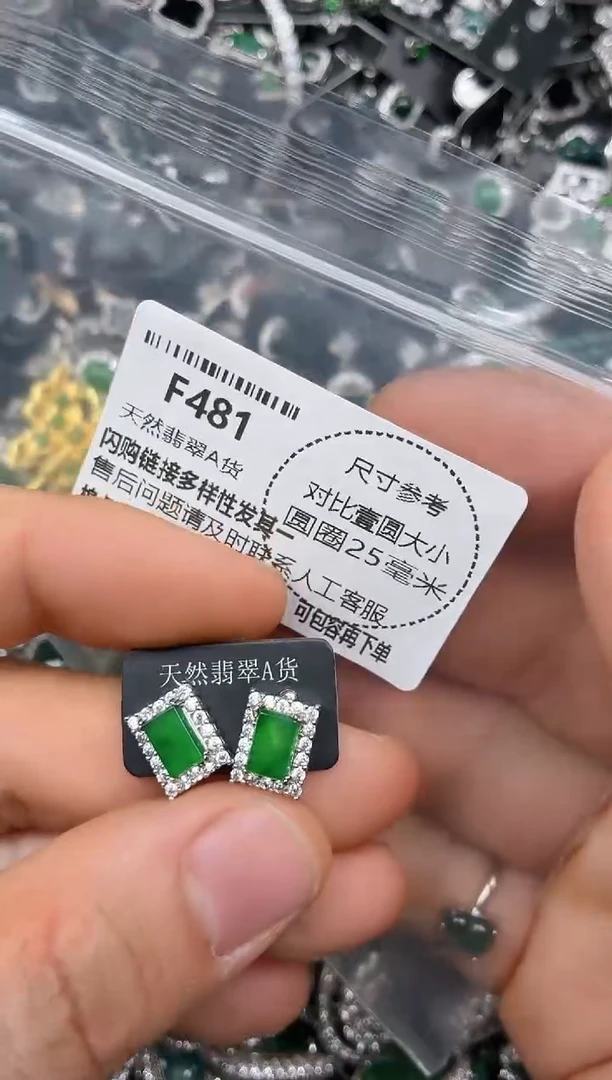 颈饰未镶嵌翡翠F481耳钉