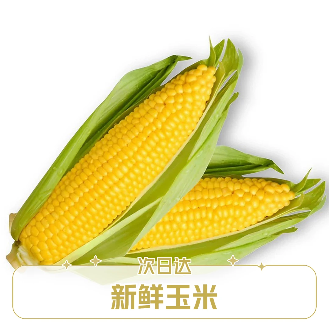 【次日达】新鲜水果玉米带箱约5斤（5～8根）