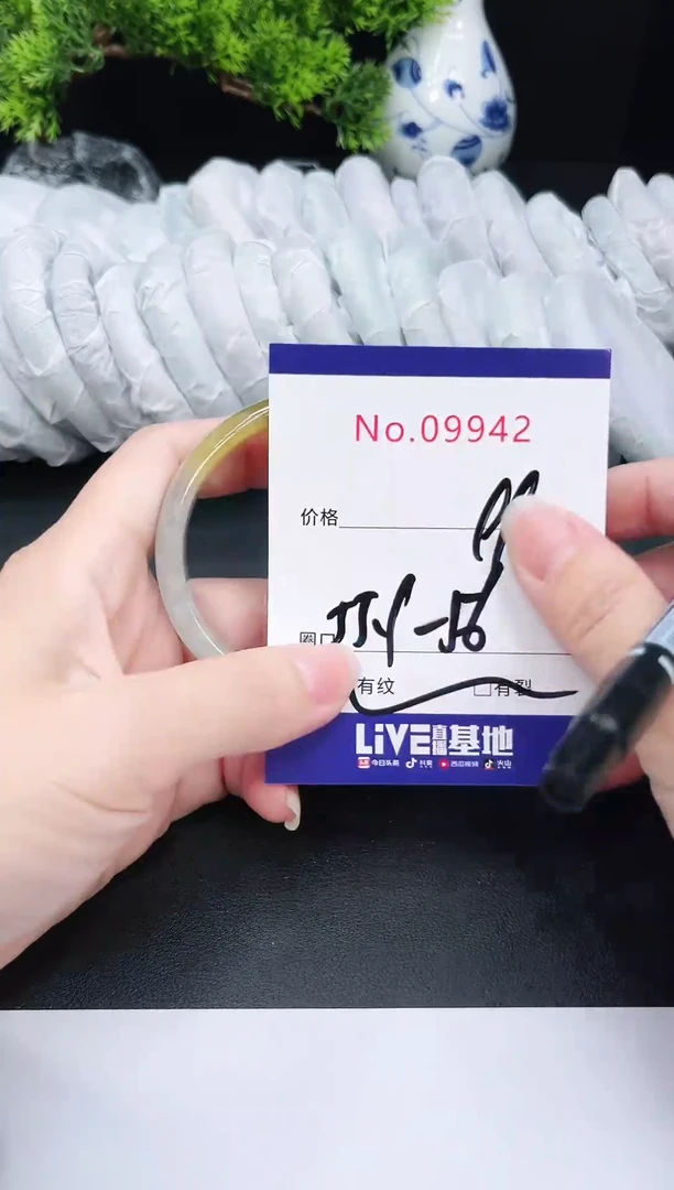 未镶嵌手镯翡翠9942