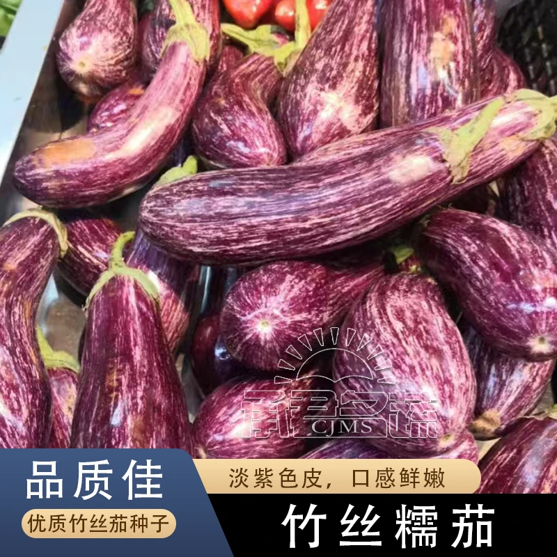 竹丝茄种子茄子高山糯茄种子东北花茄子五花茄原装种籽长茄子花园