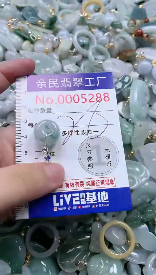 翡翠未镶嵌吊坠(不含链)5288