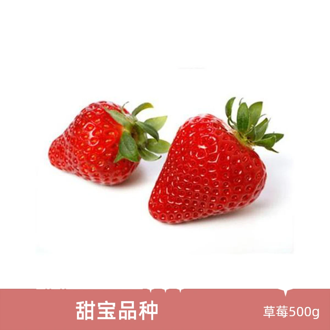 蓬莱甜宝草莓一斤