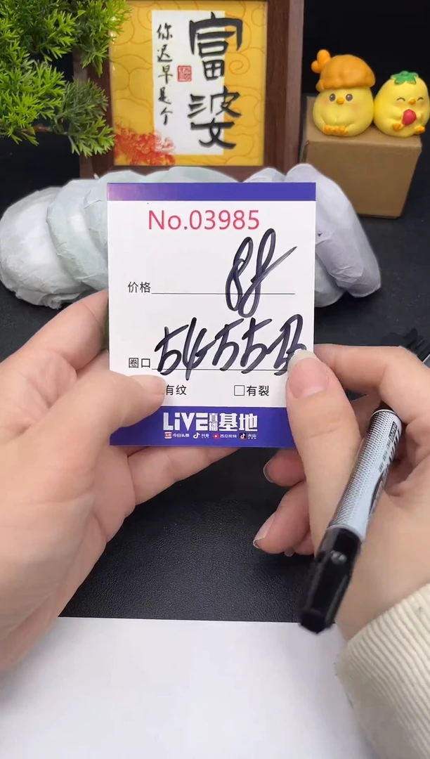 未镶嵌手镯翡翠3985