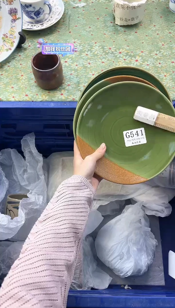 【闪购商品】瓷片          G541