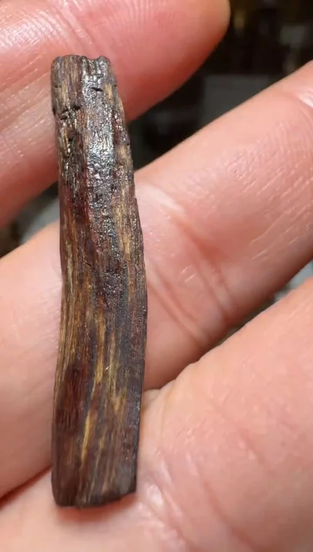 沉香沉香碎屑西马0.7克