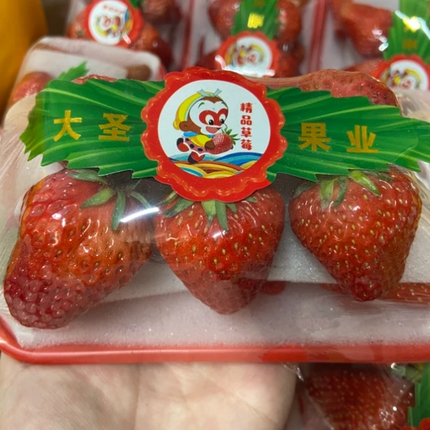 【同城配送】新鲜红颜草莓240g/盒