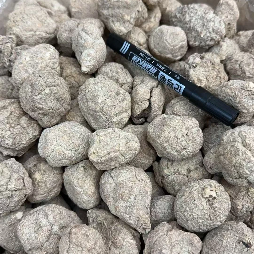 宝珠甄选-虎乳菌菇原粒（大自然）煲汤滋补养生材料农家干货