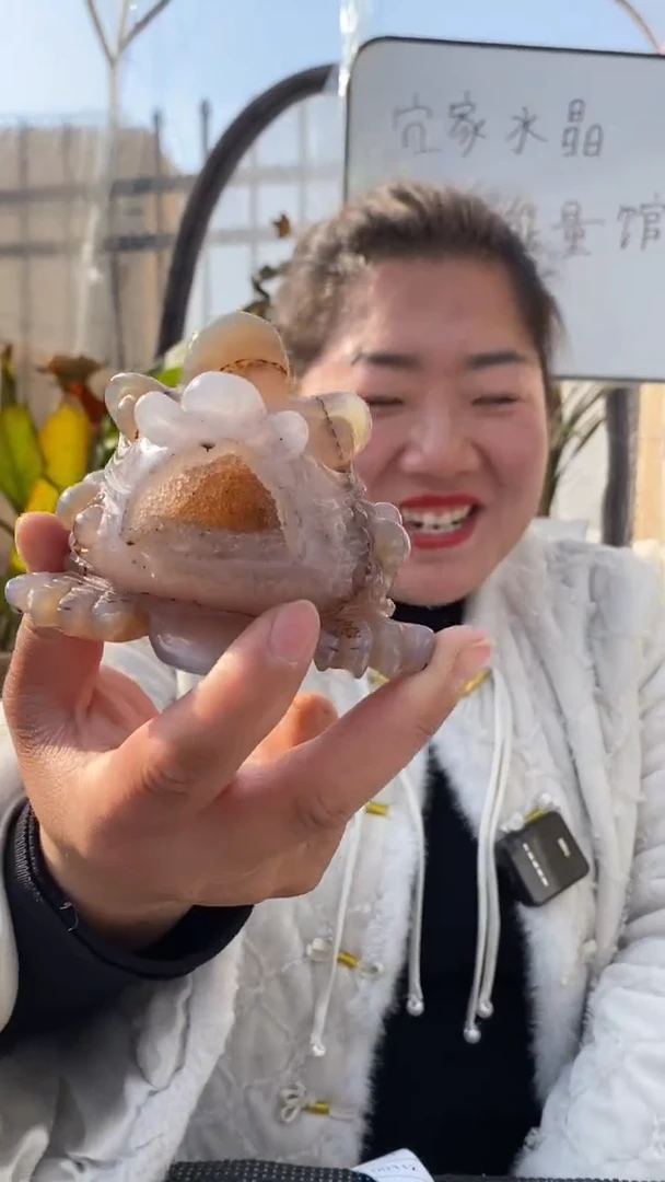 【闪购商品】玛瑙摆件未镶嵌玛瑙金蟾DD111