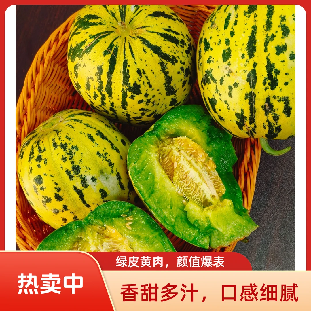 山东徐州邳州本地现摘香甜小香瓜