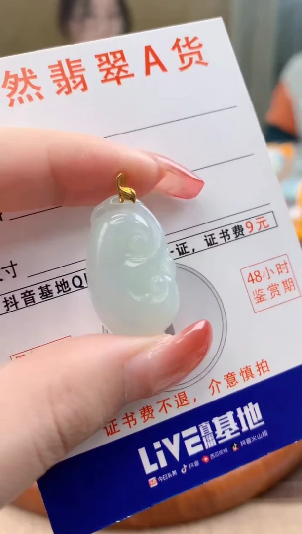 颈饰未镶嵌翡翠 天然A货翡翠挂件