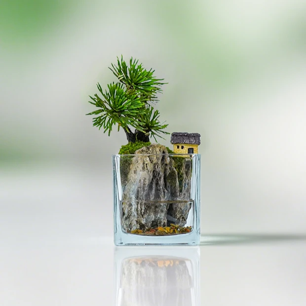 【雾影】隐居mini—卷柏桌面山水造景真植物【尺寸：8*8】