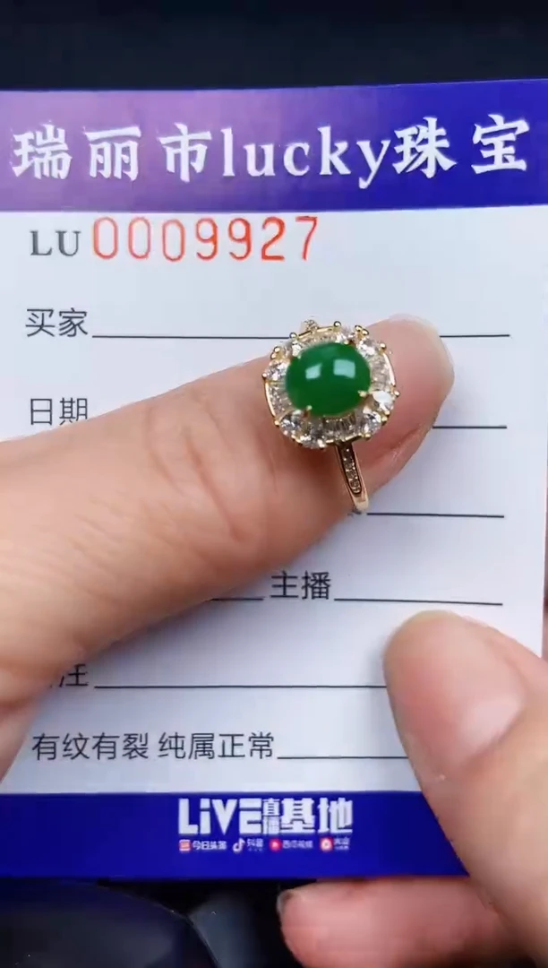 翡翠银S925镶嵌颈饰9927