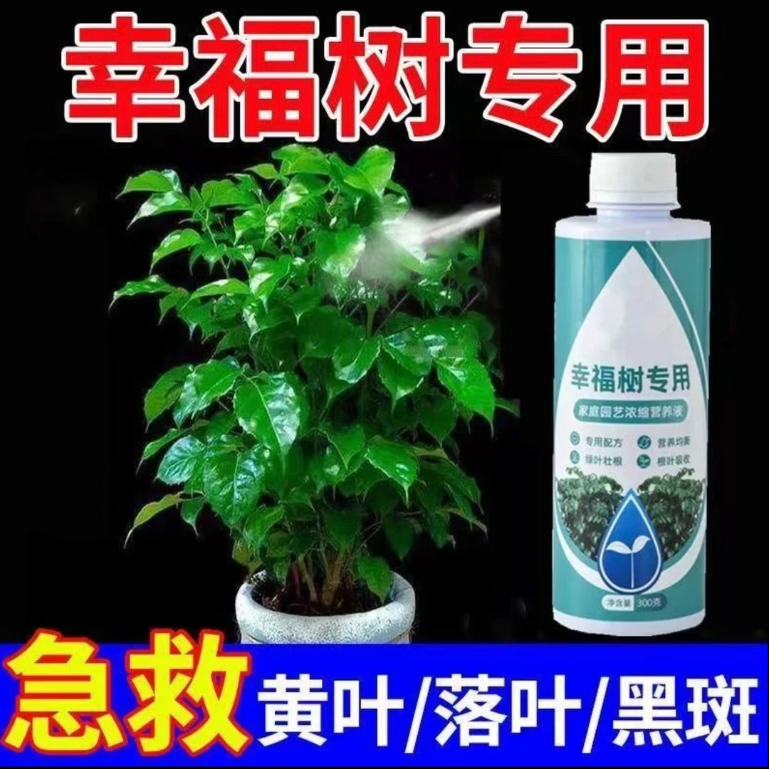 幸福树专用肥营养液室内盆栽绿植防黄叶掉叶植物通用液体水溶肥料