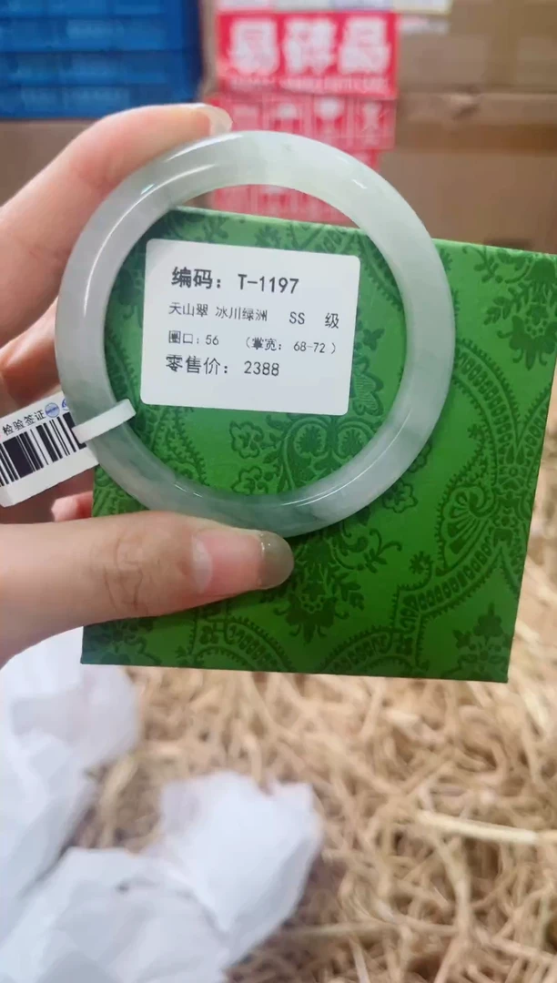 未镶嵌手镯石英质玉T-1197
