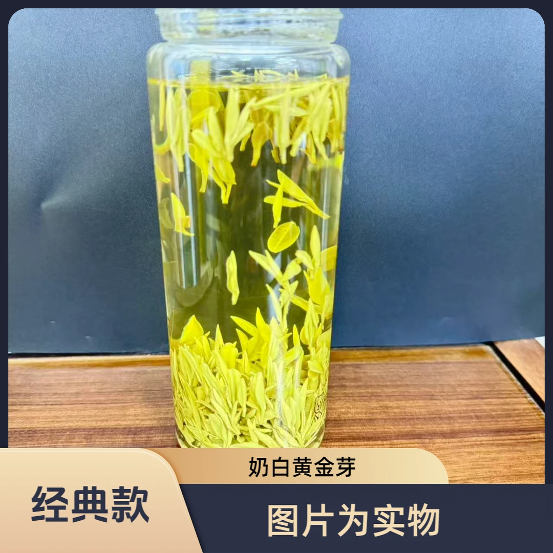 峰露源(奶白黄金芽.经典款）2025春茶/黄金芽/绿茶茶叶