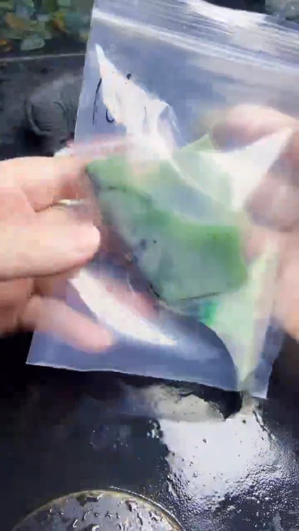 未镶嵌挂件翡翠天然翡翠166