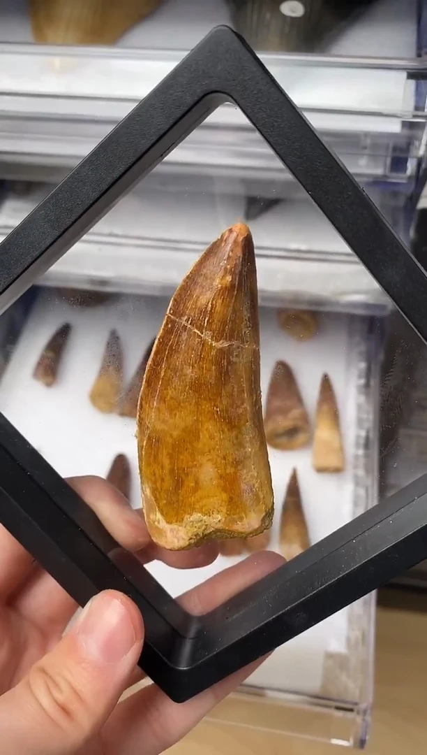 精美摆件创意礼物家居配饰新年礼物个人收藏