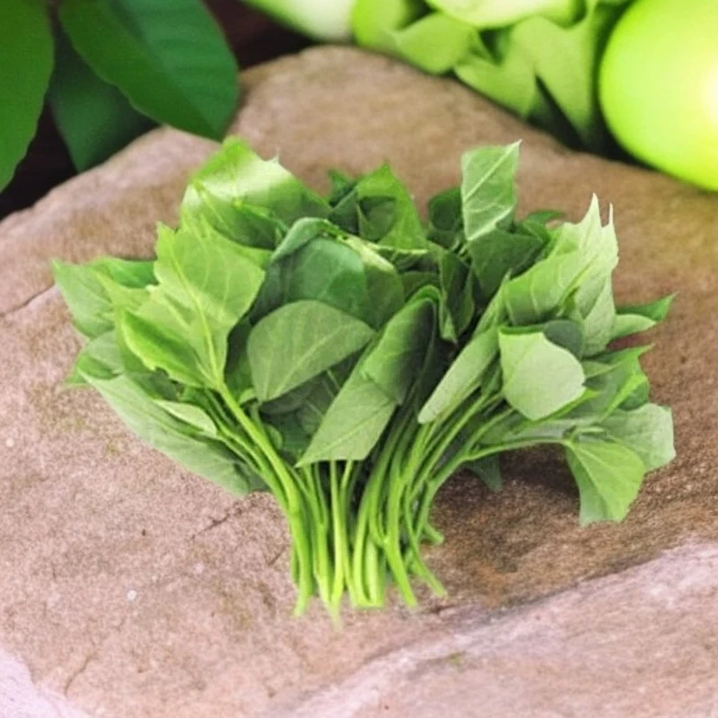 【配送到家】红薯尖苕尖约300g