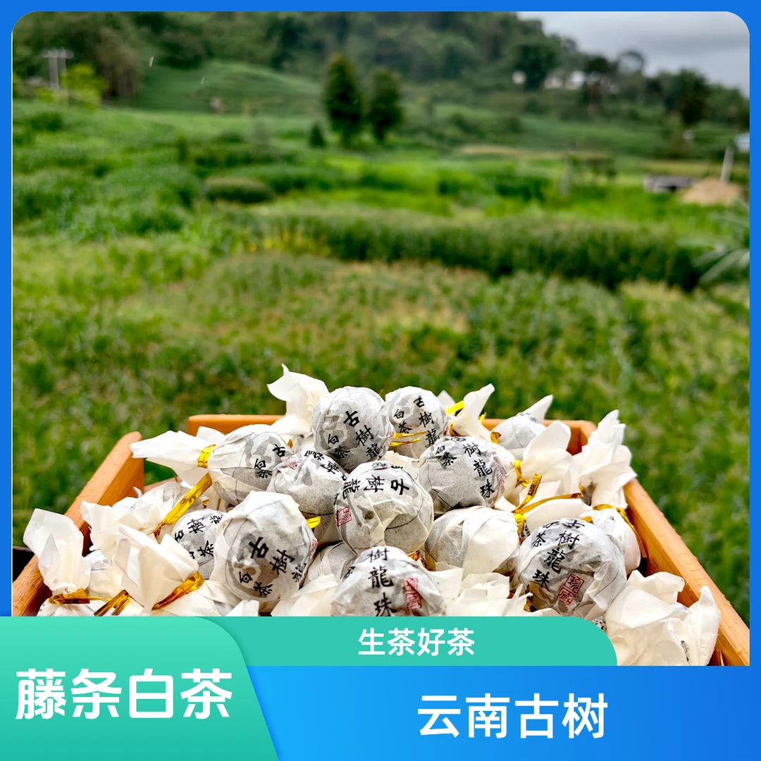 2021年云南大叶种 藤条白茶-250克