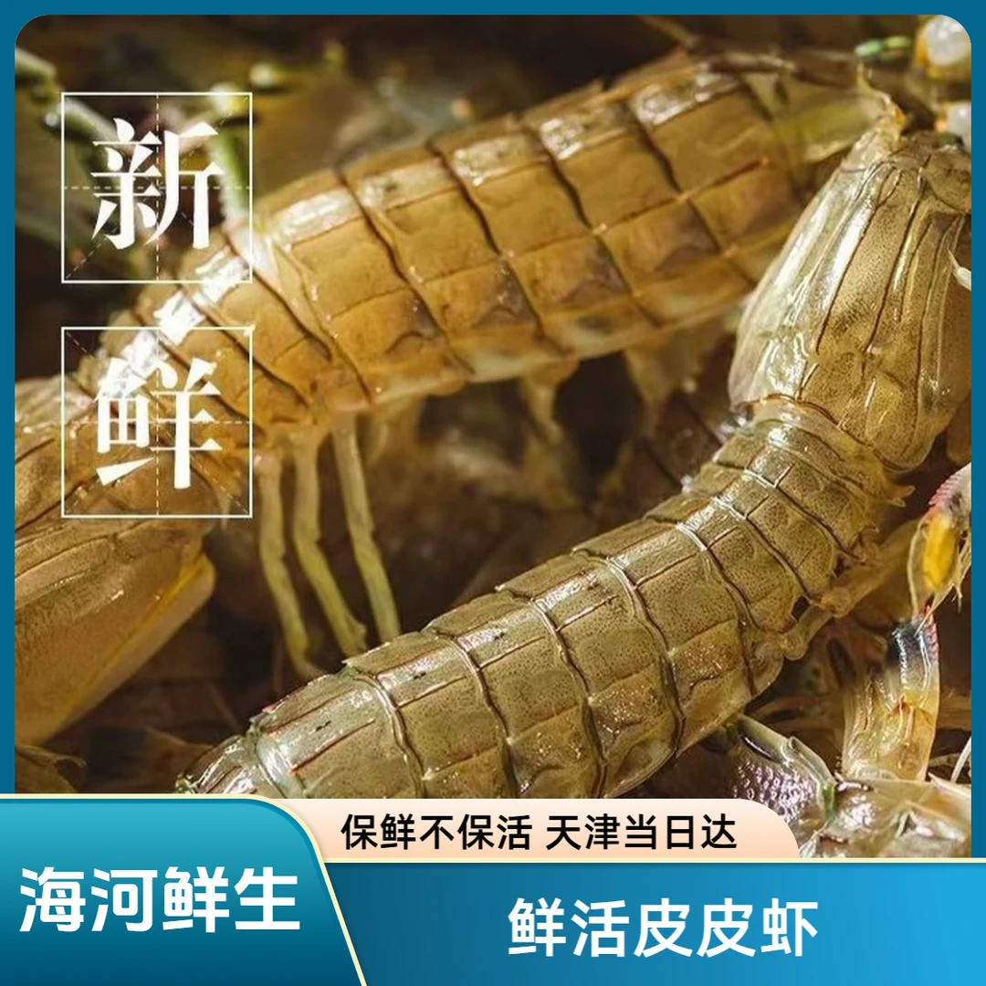 【皮皮虾】【保鲜不保活】本地皮皮虾2-5斤 （一斤15只左右）天津海鲜