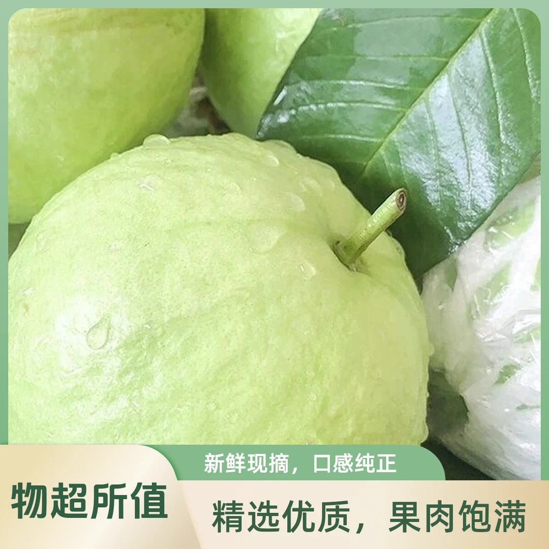 广西奶油白心红心芭乐番石榴当季孕妇新鲜水果