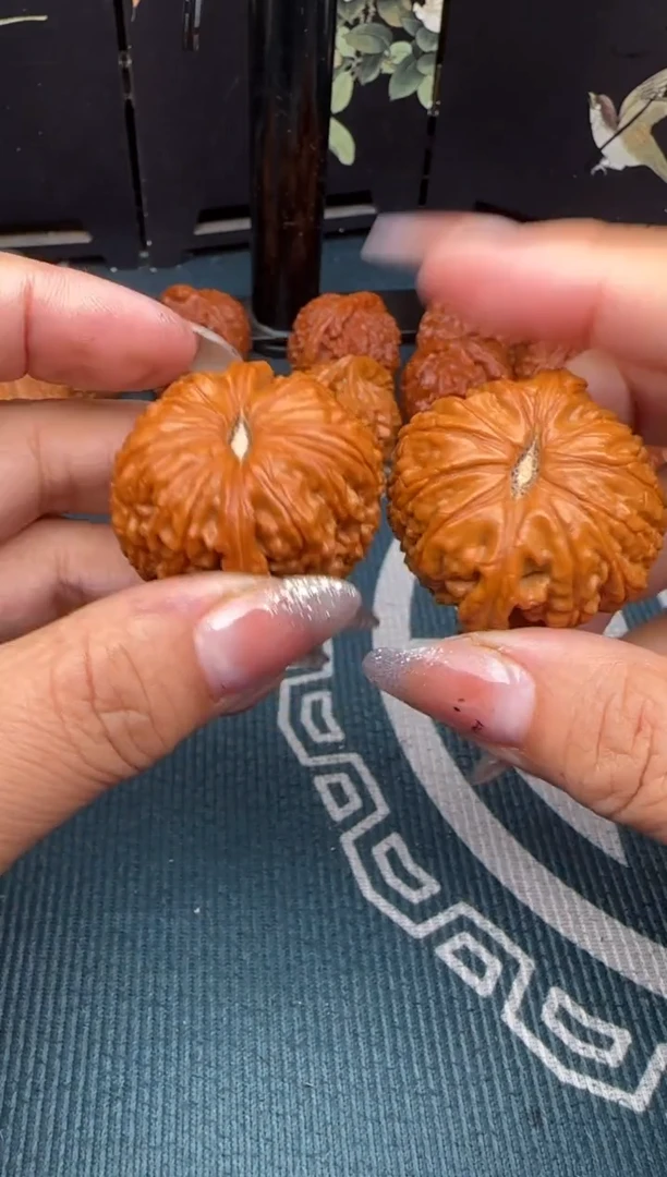 把件文玩核桃全品无修 白狮子