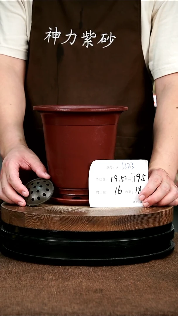 紫砂花盆花卉园艺6373+Z