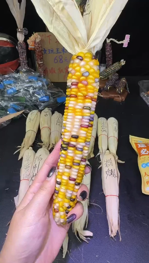 是**姐哈哈哈红红火火恍恍惚惚