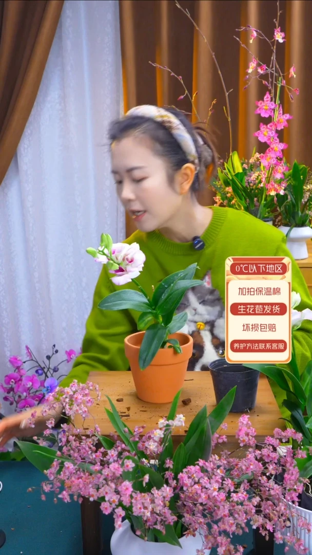 陶瓷花盆 复古棕色