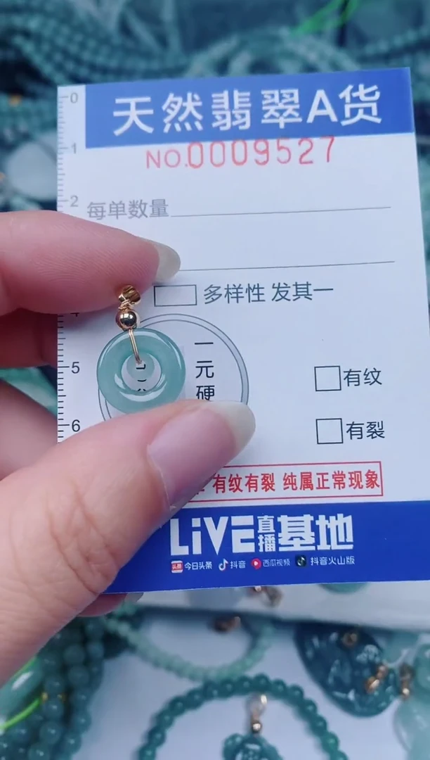 颈饰未镶嵌翡翠00009527