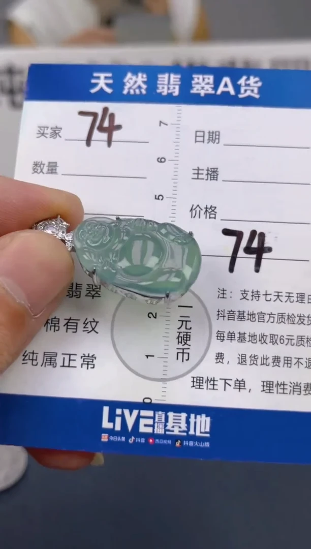 翡翠未镶嵌颈饰天然A货翡翠