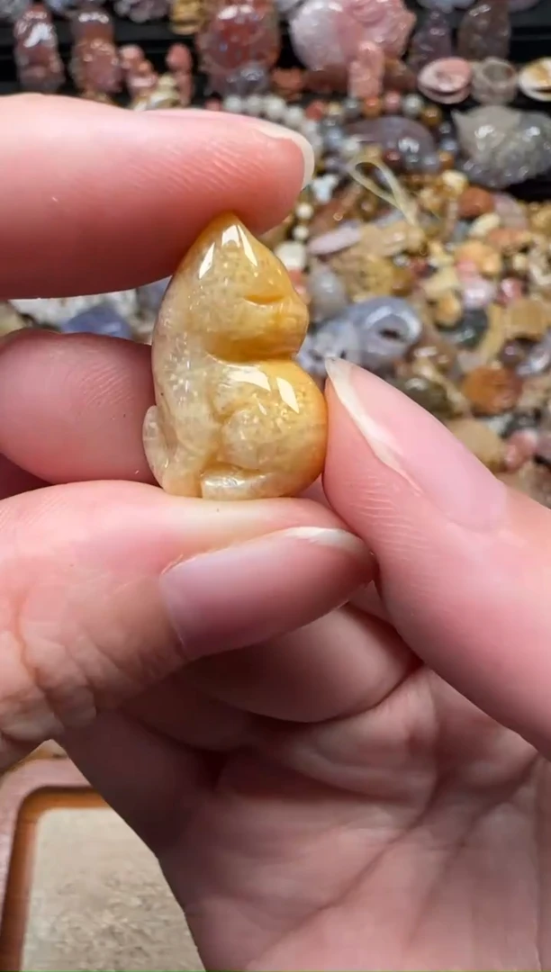 颈饰未镶嵌硅化珊瑚（珊瑚玉）546