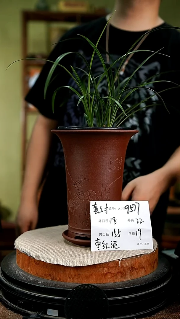紫砂花盆花卉园艺9577+z