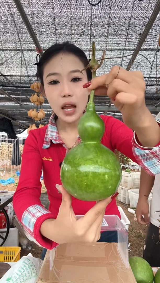 115天然葫芦摆件 一物一拍龙头不保售后