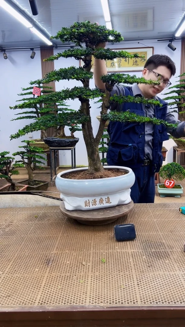 无花朵一物一拍，所见即所得