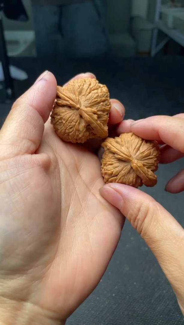 把件文玩核桃w38  白狮子  42