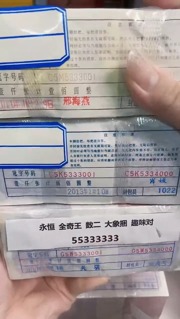 M 05+05+01 大象龙凤三胞胎 55333333