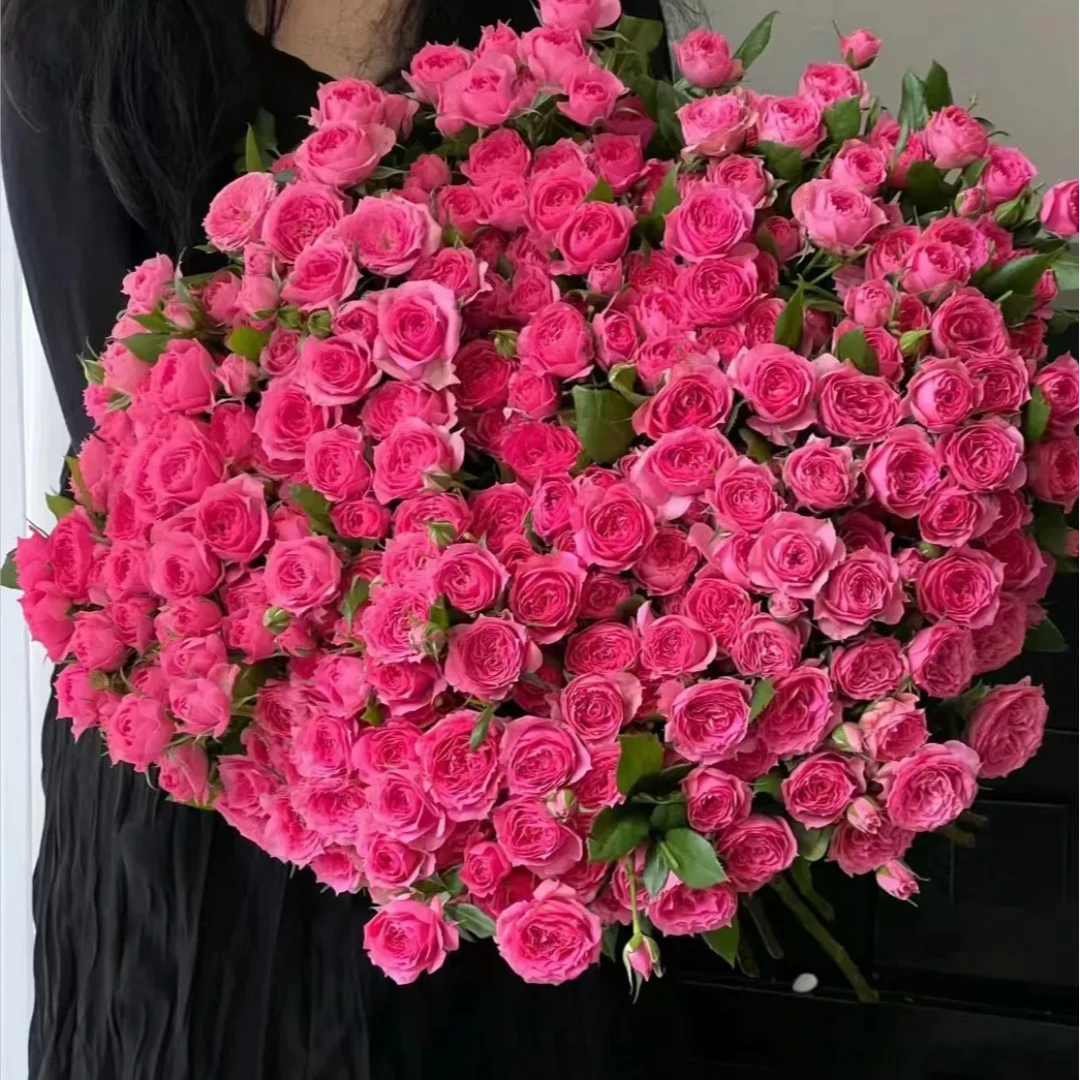 【锦上花舍】多头玫瑰苏菲宝贝任意两单顺丰冷链