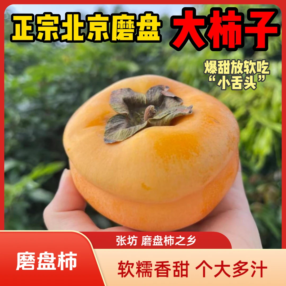 【北京甜柿磨盘柿】房山磨盘软柿子放软吃蜜甜张坊磨盘柿子脆柿懒柿柿饼水果京津冀顺丰次日达柿子柿子北京市