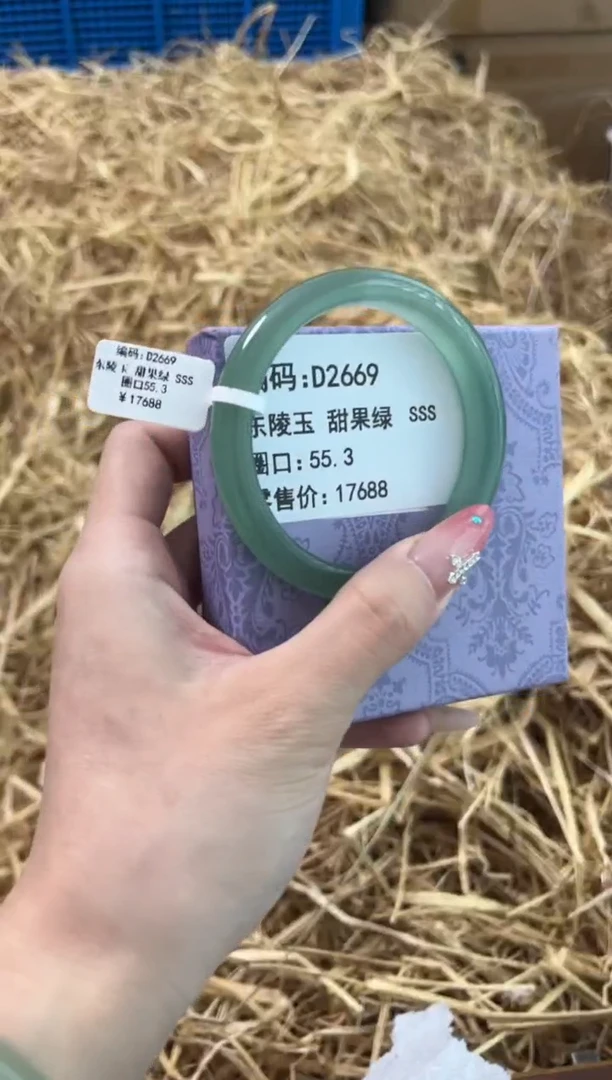 未镶嵌手镯石英质玉D26669