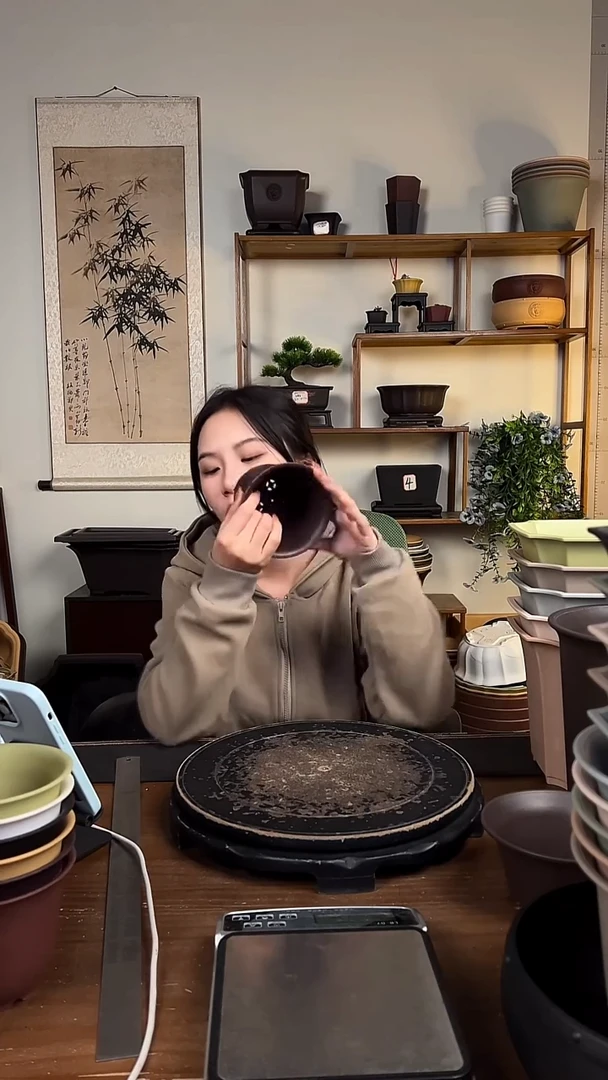 12口金钟15只紫檀