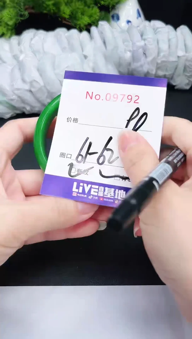 未镶嵌手镯翡翠9792半