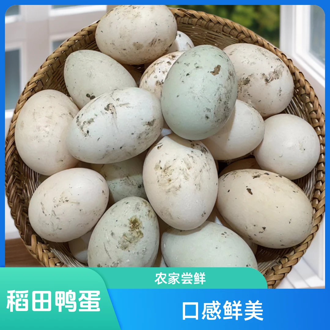 正宗农家散养稻田新鲜土鸭蛋（30枚）